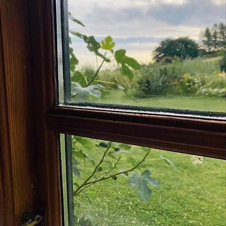 Charm Near Amidst Fields Svebolle