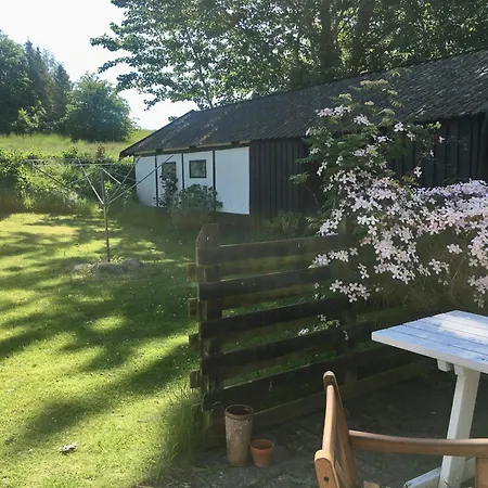 Charm Near Amidst Fields Svebolle